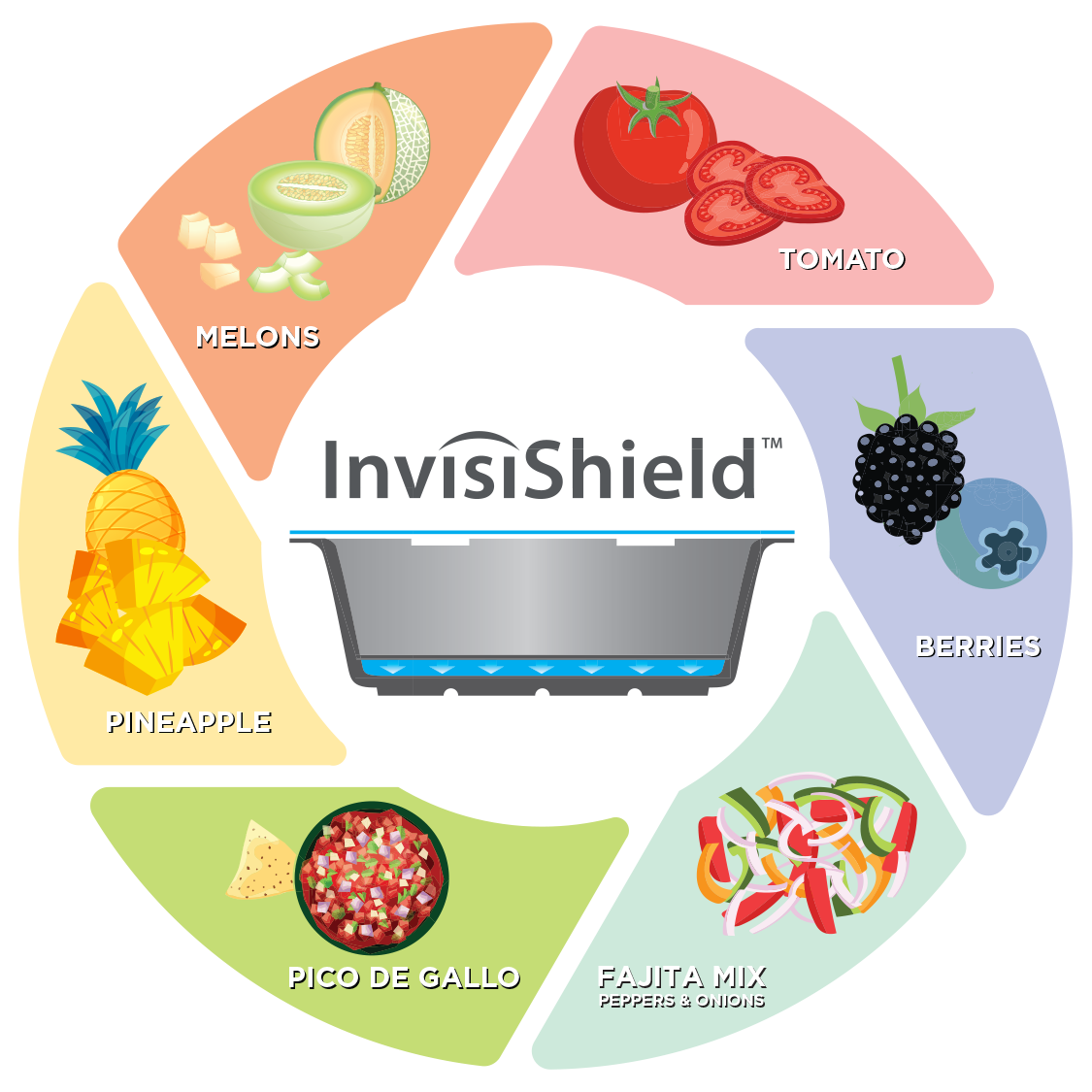 invisishield